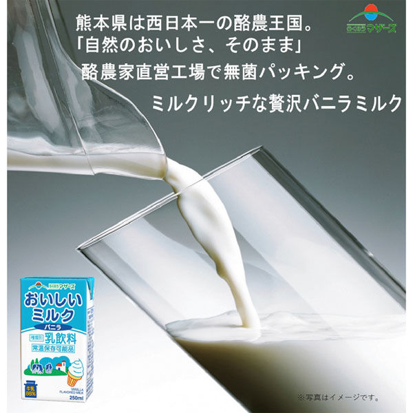 シャンソニエミルク　サンプル20枚つき らくのうマザーズ ミルクバニラ 250ml×12本 4908839183160（直送