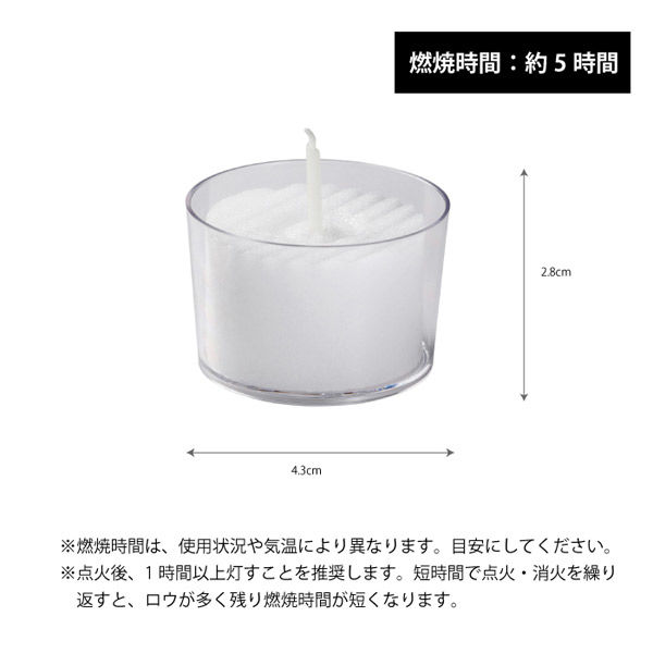 ペガサスキャンドル LOOPLE スタンダードカップキャンドル（キャンドル