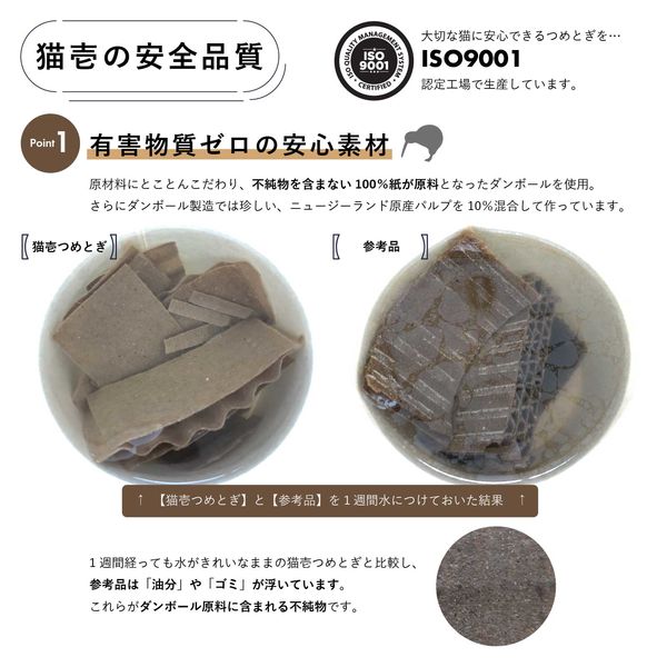 高品質！バーバリーライオン 右前肢（爪5本付）骨格　※登録票付 即納☆ 高品質！バーバリーライオン 骨格標本 - 頭骨・骨格標本
