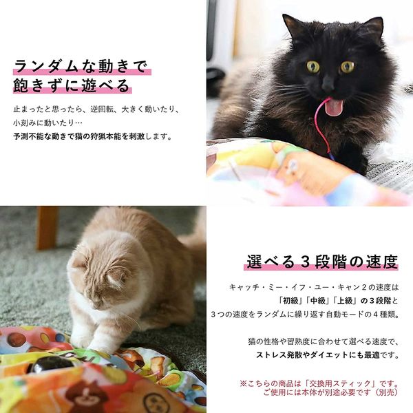 猫壱　キャッチ・ミー・イフ・ユー・キャン　交換用羽根スティック３本セット