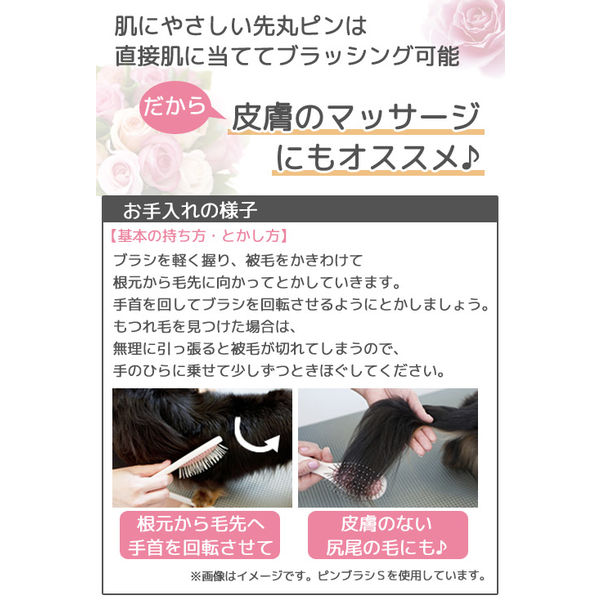 ピンブラシ S 犬猫用 プレシャンテ ペティオ - アスクル