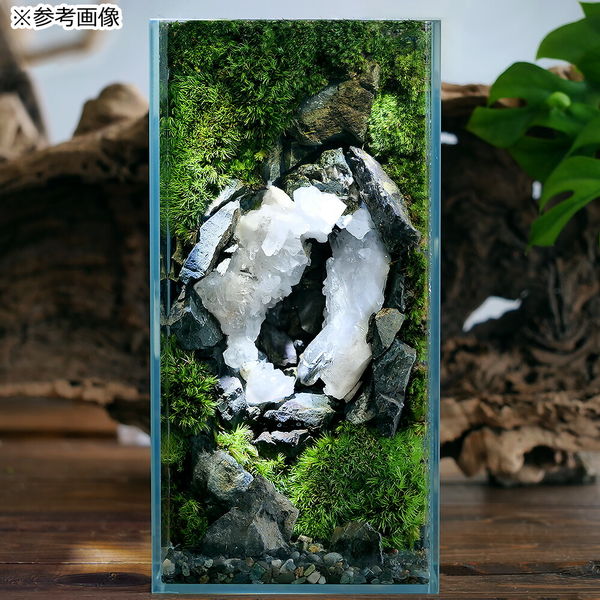 リーフ 形状お任せ アメジスト(紫水晶) 100g 809061 1個(直送品 リーフ 形状お任せ アメジスト(紫水晶) 100g 809061 1個(直送品