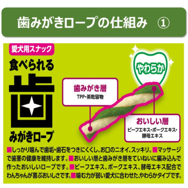 エブリデント 歯みがきロープ 愛犬用 やわらか SSサイズ 国産 45g（約