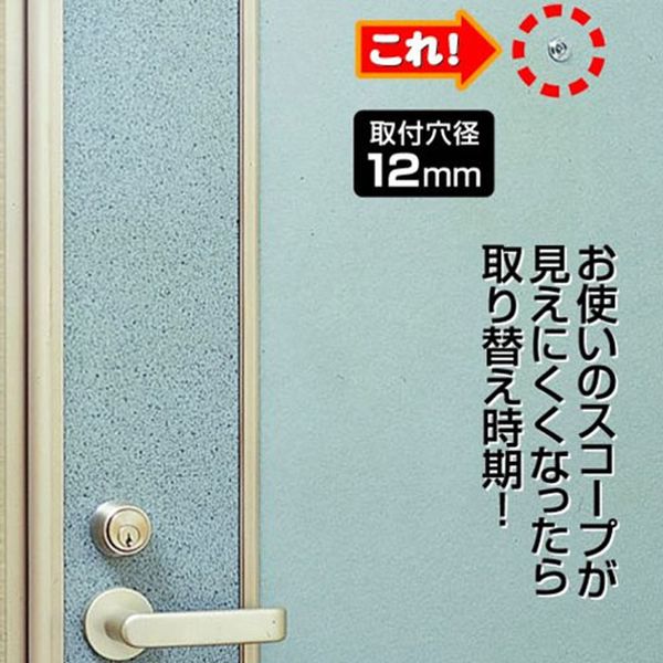 ことの助 カワセミ 10331 | LEGO® Icons |レゴ®ストア公式オンラインショップJP