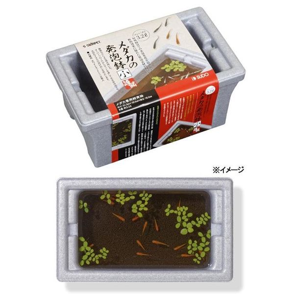 9958サカナおまとめ商品 選べる小鳥】「ことり鈴 / 文鳥・セキセイ・オカメ・シマエナガ