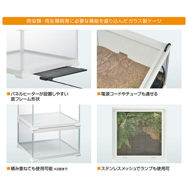 ジェックス GEX レプテリア ホワイト 300キューブ Low 234242 1個