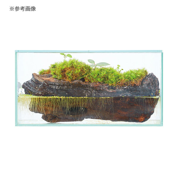 ジェックス ＧＥＸ グラステリア フィット ２００ＬＯＷ 239232 1個（直送品） - アスクル