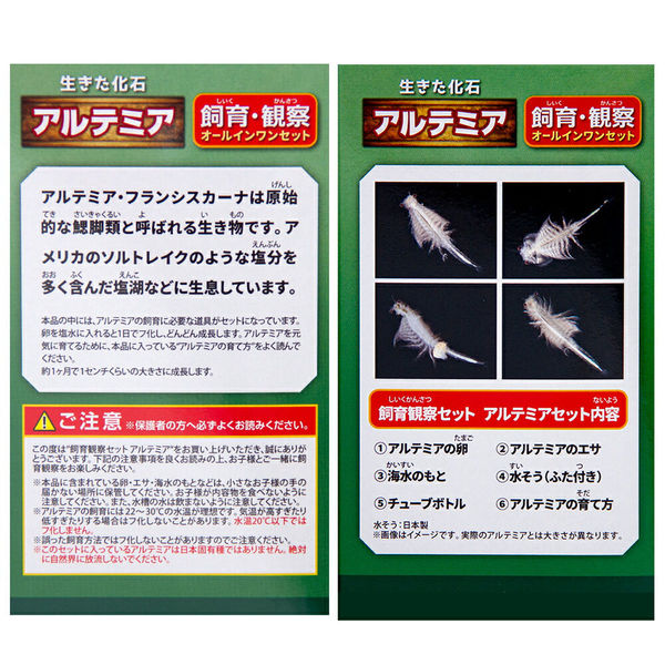 日本動物薬品 ニチドウ 飼育観察セット アルテミア 258862 1セット