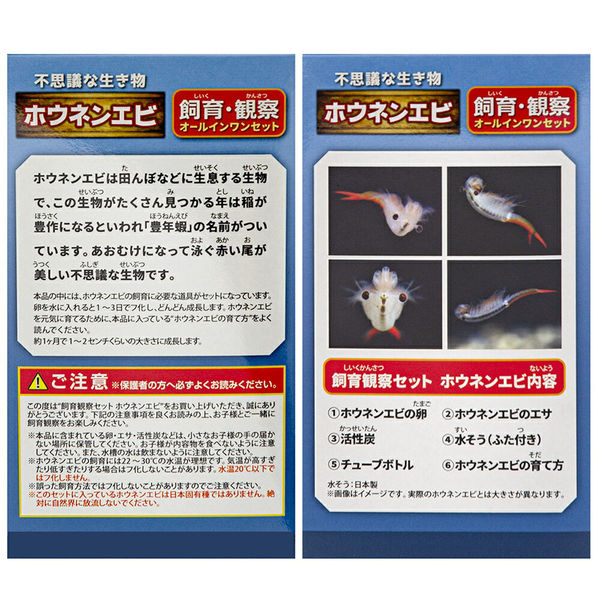 日本動物薬品 ニチドウ 飼育観察セット ホウネンエビ 258863 1セット（直送品） - アスクル