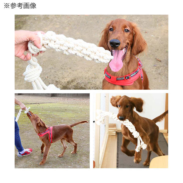 リーフ あみあみつなひきコットンロープ L 大型犬用 264673 1個