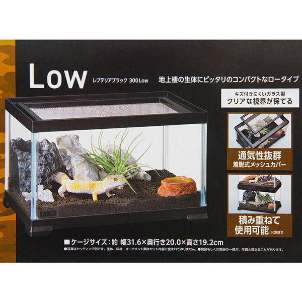 レプテリア300low 4個セット - 温室・飼育ケース