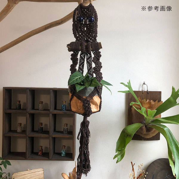 マクラメ 流木 プラントハンガー マクラメ 流木 プラントハンガー