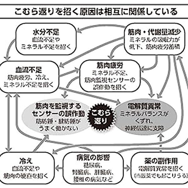 文響社 こむら返り 整形外科の名医が教える 最高の治し方大全 1388 1冊