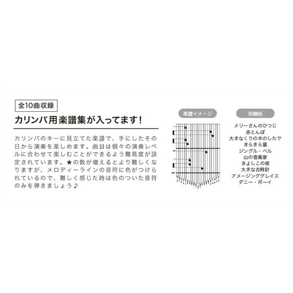 ONETONE ワントーン ピックアップ付きカリンバ・セット 21キー