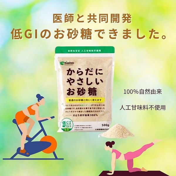 からだにやさしいお砂糖 低GI 500g 2袋 さとうきび原料100% チャック