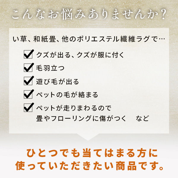 イケヒコ・コーポレーション PPカーペット ラグ 五木 江戸間4.5 イケヒコ・コーポレーション PPカーペット ラグ 五木 江戸間4.5