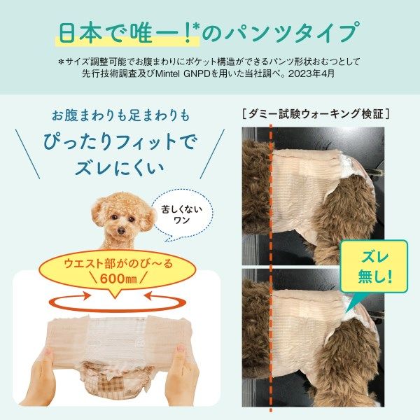 【メーカー直売】 エリエール 超小 パンツ SSS～S アクティブウェア キミおもい 首輪・ハーネス・リード