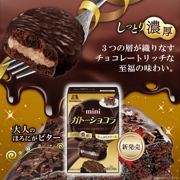 ミニガトーショコラ 2箱 森永製菓 チョコレート