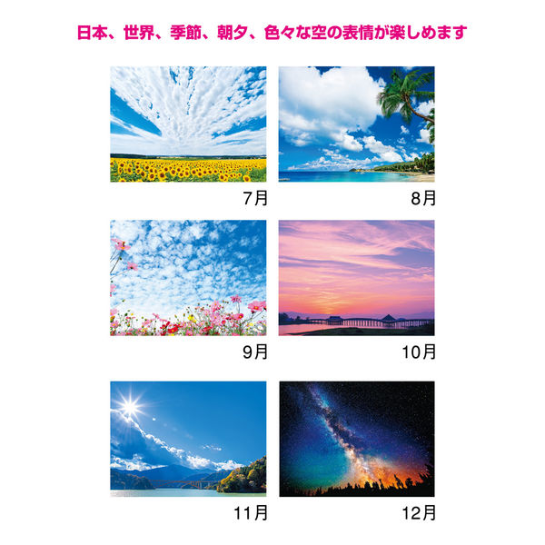 2024年版】壁掛カレンダー SORA-空- A/2切 NK8134 1冊 新日本 