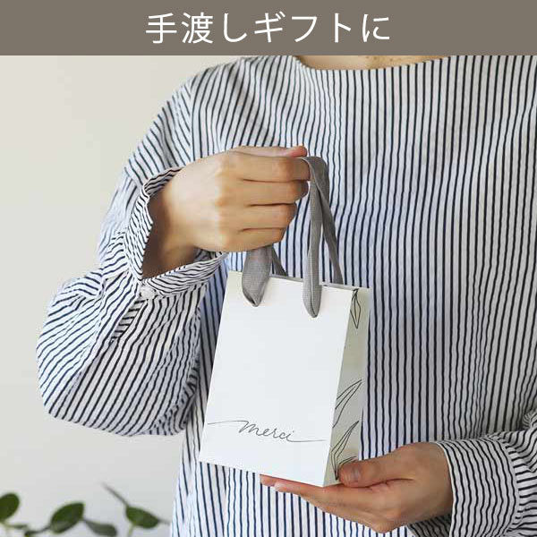 【❤︎フォローで割引❤︎】EXPOSE 5 , 6 , 7セット DNS逆引きレコードの設定 — さくらの VPS マニュアル