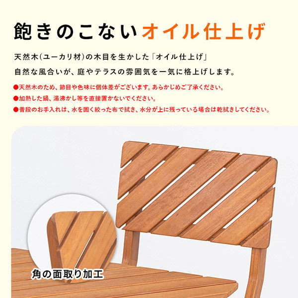 三栄コーポレーション【軒先渡し】 ガーデンチェア2脚セット A1