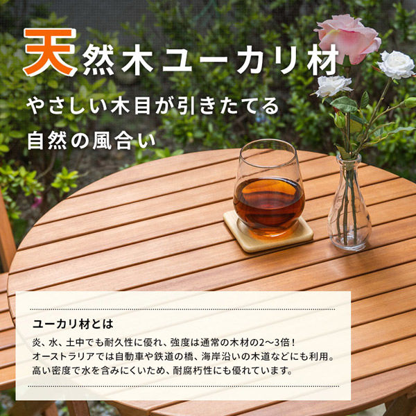 三栄コーポレーション【軒先渡し】 ガーデン テーブル セット