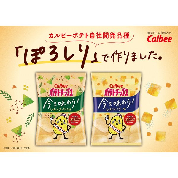 ポテトチップス 粗かっ お菓子まとめ売り カップヌードル