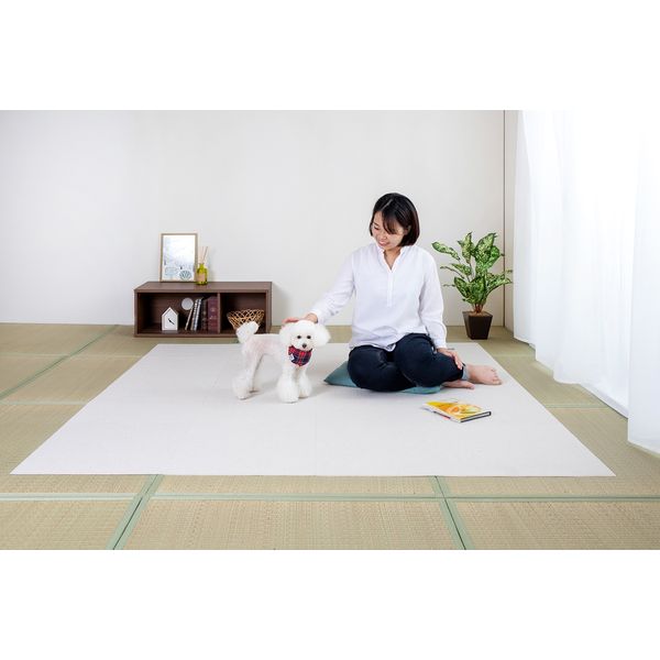 サンコー 畳用 おくだけ吸着 畳に使えるタイルマット グレージュ 1 