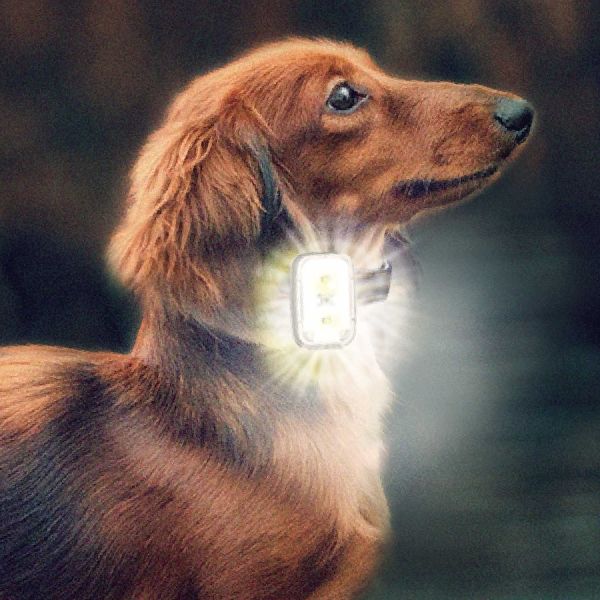 高輝度おさんぽライト 犬用 1個 ドギーマンハヤシ - アスクル