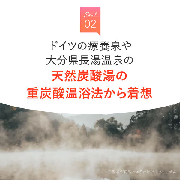 お得な大容量】 ホットタブ ウェルネス 薬用 重炭酸入浴剤 30