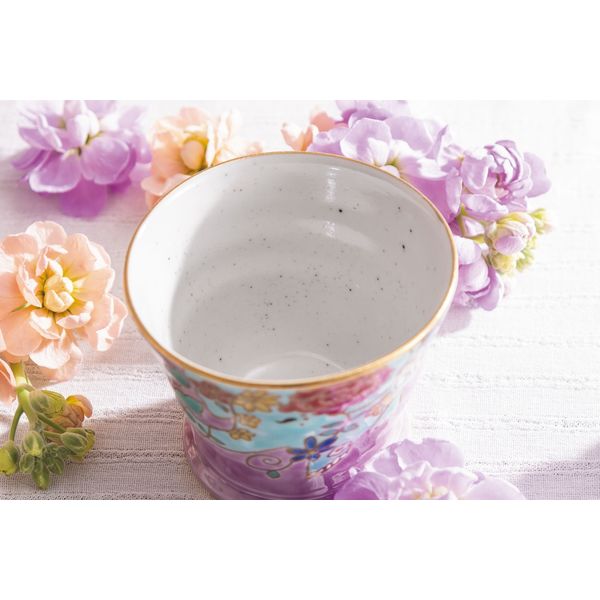 日本の伝統工芸品【九谷焼】 カップ&ソーサー 白鳩 ソーサー山中