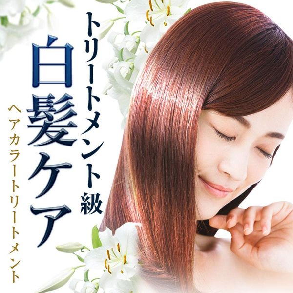 LPLP ヘアカラートリートメント モカブラウン 200g 6本セット ...