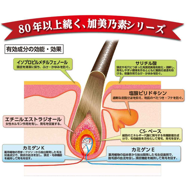 強力加美乃素 A 育毛剤 男女兼用 無香料 200ml 加美乃素本舗 - アスクル