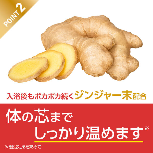 薬用 入浴剤 炭酸 きき湯 ファインヒート スマートモデル 50g 1個 透明
