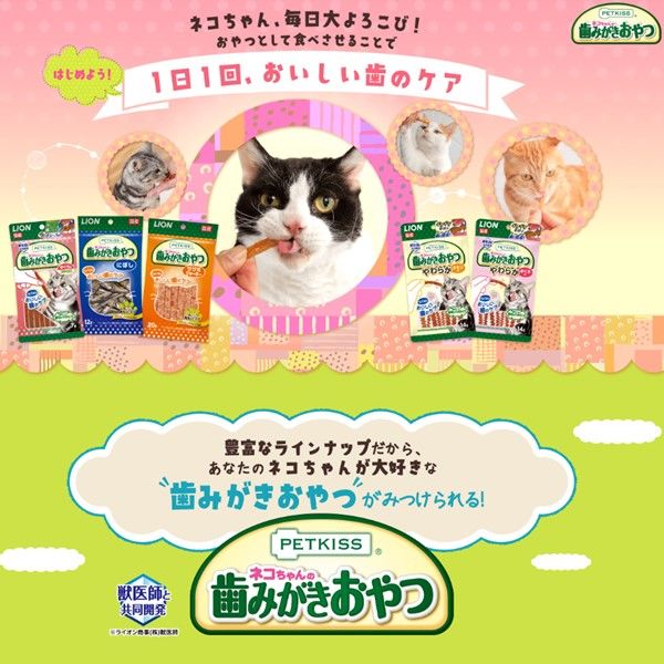 ペットキッス ネコちゃんの歯みがきおやつ ササミジャーキー(20g*12コセット)