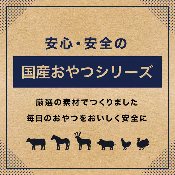 無添加 国産おやつ 馬アキレスロング 70g 1袋 ペットプロジャパン ドッグフード おやつ