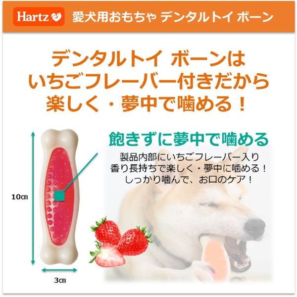 デンタルトイ ボーン 犬用おもちゃ 歯磨きおもちゃ S いちごフレーバー | ハーツ(Hartz) | デンタルケア | 歯みがき