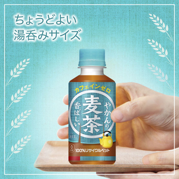 コカ・コーラ やかんの麦茶 FROM 爽健美茶 200ml 1箱（30本入） アスクル