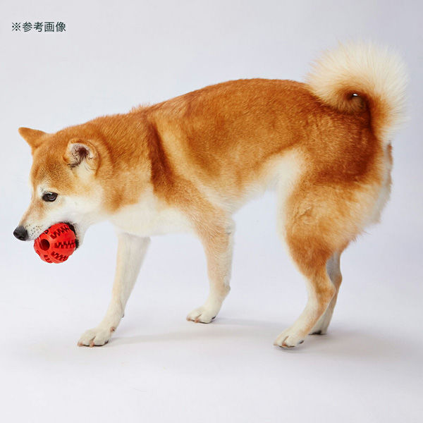 ペティオ 犬用おもちゃ ＴＲＥＡＴＳ ＬＯＶＥＲ ボール Ｍ 262173 1個（直送品） - アスクル