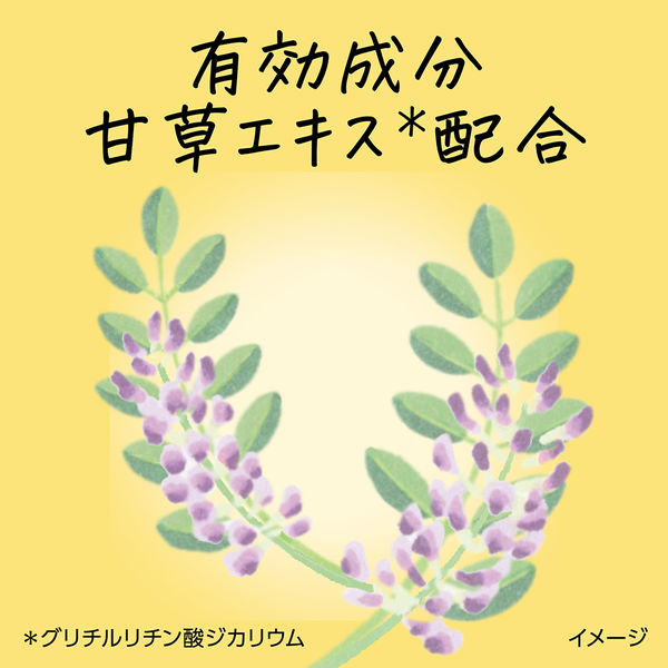 Amazon | WEN ウェン クレンジングコンディショナー ザクロ