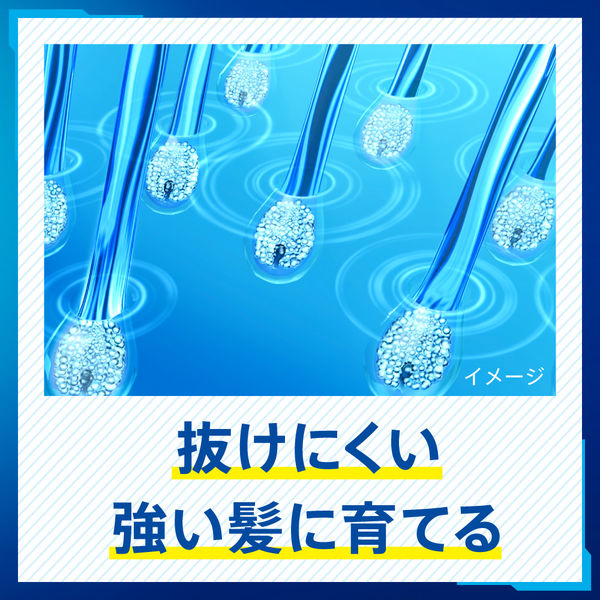 サクセス　薬用育毛トニック　無香料　180g 19本 サクセス薬用育毛トニック 無香料 【180g】(花王) 「(○)店舗取