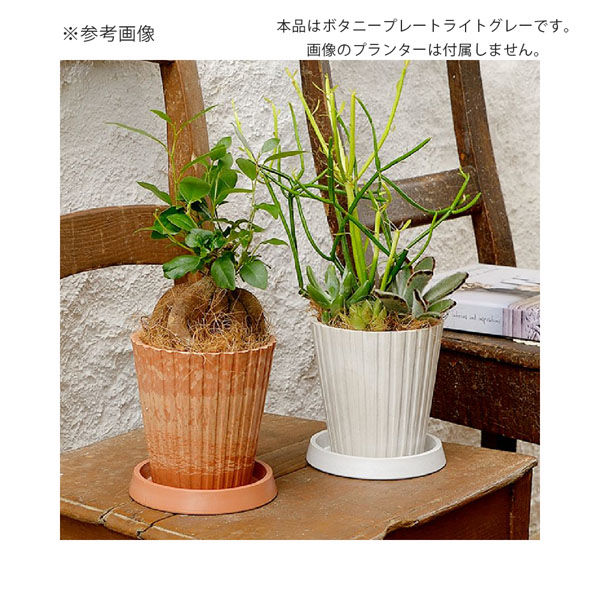 まとめ) ノヴェルプレート/植木鉢受け皿 〔丸20型N アイボリー〕 約Ф18×H2.