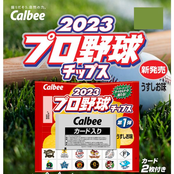 2023プロ野球チップス 22g 24袋 カルビー スナック菓子 ポテトチップス おつまみ