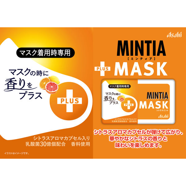 ミンティア＋MASKシトラスミント50粒20個 - その他