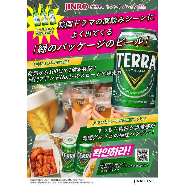 ビール 輸入ビール 韓国ビール TERRA（テラ） 350ml 2箱 （48本