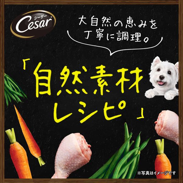 シーザー 犬 自然素材レシピ ラム＆さつまいも・にんじん 85g 28個