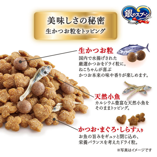 キャットフード/銀のスプーン8袋 銀のスプーン 贅沢うまみ仕立て 腎臓の健康維持用 15歳頃から お