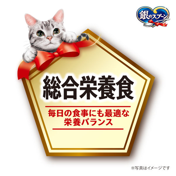銀のスプーン　パウチ　総合栄養食　55g×12袋詰め合わせ　１０箱　１２０袋 銀のスプーン 総合栄養食 まぐろ（55g×12袋）1箱 キャットフード