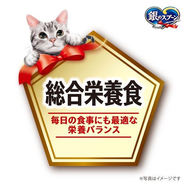 銀のスプーン 総合栄養食 まぐろ（55g×12袋）3箱 キャットフード 猫