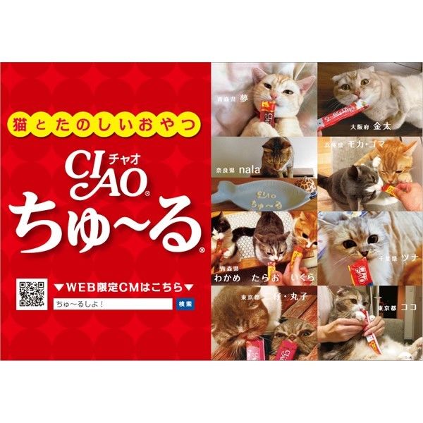 バラエティパック）いなば CIAO チャオ ちゅーる 猫 かつお シーフード